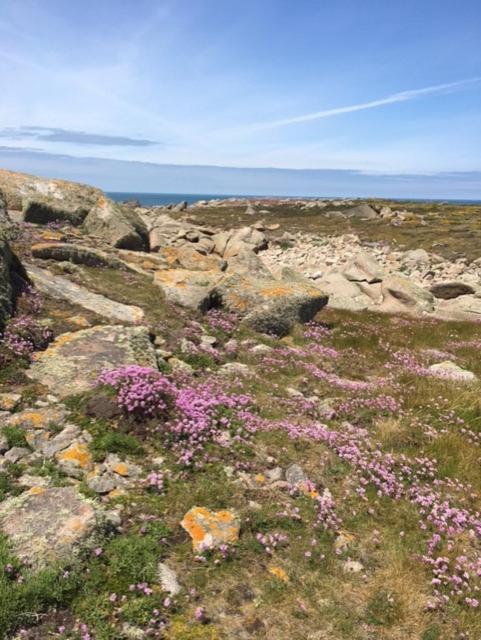 Belle vue sur mer Saint-Michel-en-Grève Eksteriør bilde